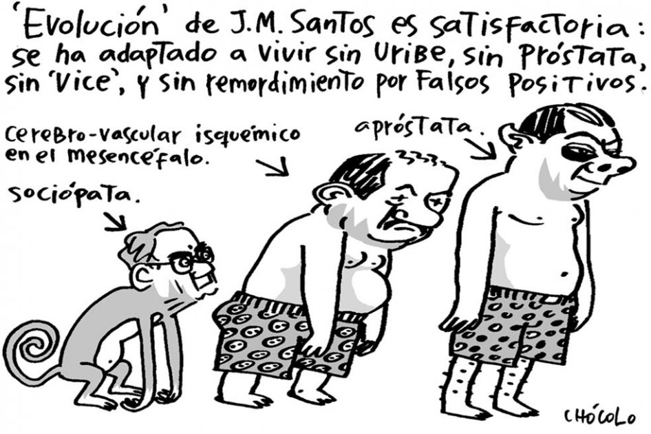 Evolución