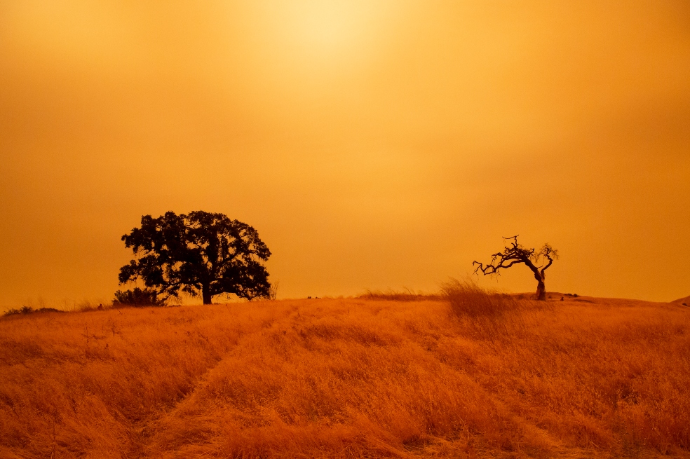 Lo que se describió como incendios forestales "sin precedentes", alimentados por fuertes vientos y temperaturas abrasadoras, atravesaron una amplia franja de California, Oregon y Washington.