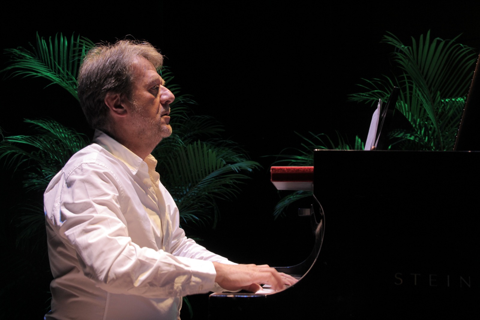 Solaz en la sala de don Luis (Reverberaciones)