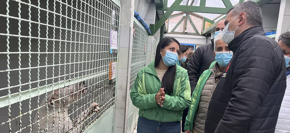 Contraloría de Bogotá vigila millonaria inversión en centros de protección animal