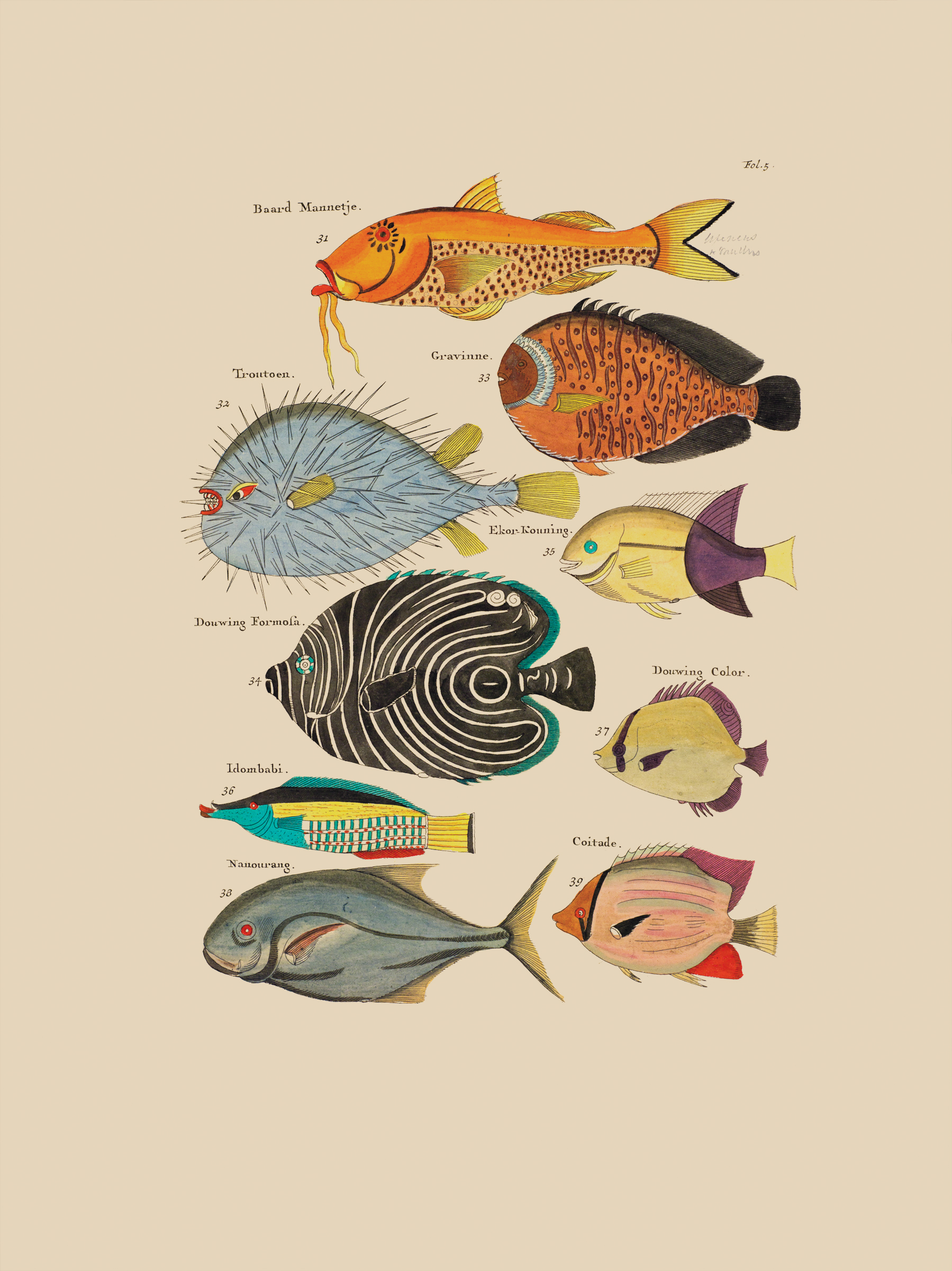 La exposición “Historia Natural: 400 años de ilustración científica” recogió los principales aportes de esta disciplina.