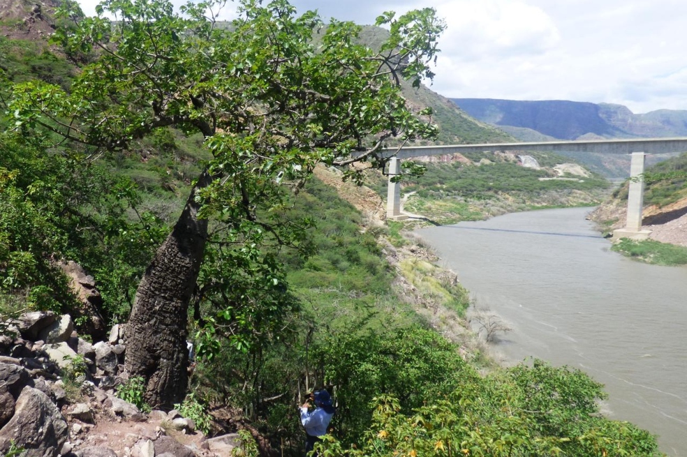 Así se tejió el plan de turismo en la Región Topocoro