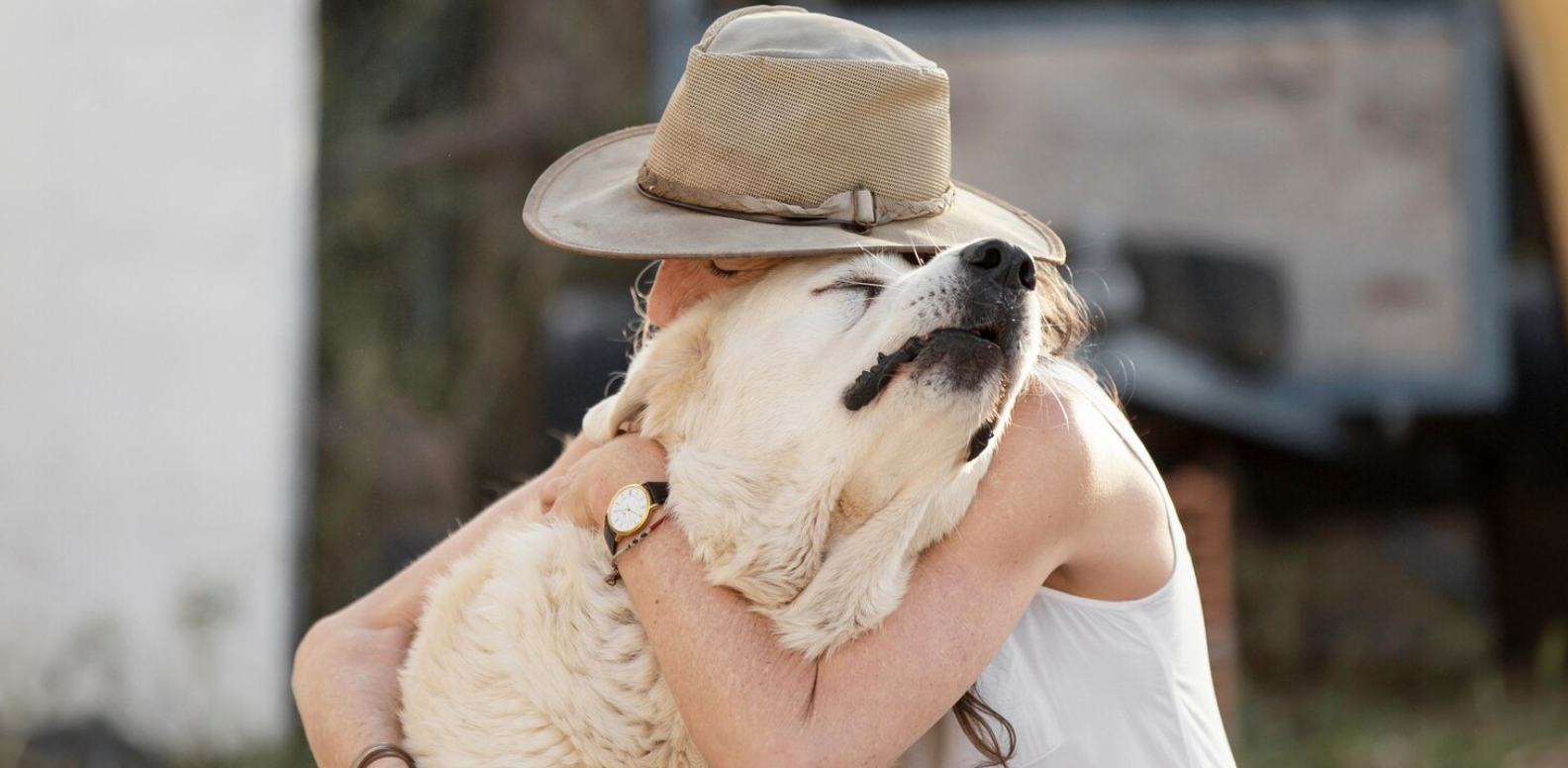 ¿Qué aportan los perros a los humanos?