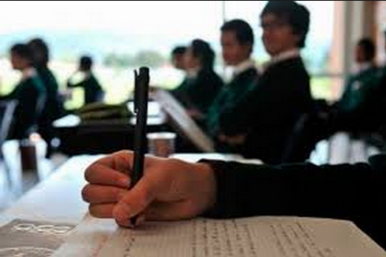 Colegios no pueden negar ingreso de estudiantes transgénero