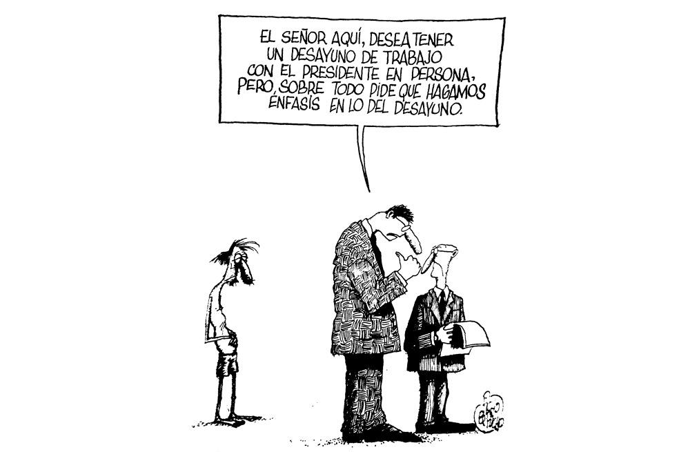 Operación avispa