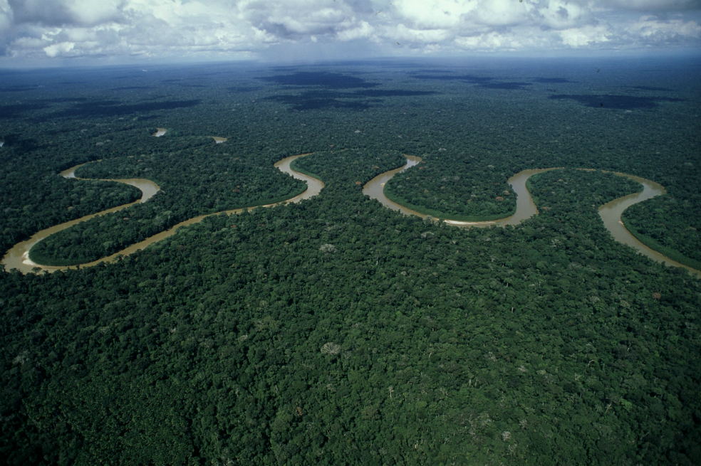 ¿Cómo detener la pérdida de biodiversidad de agua dulce?