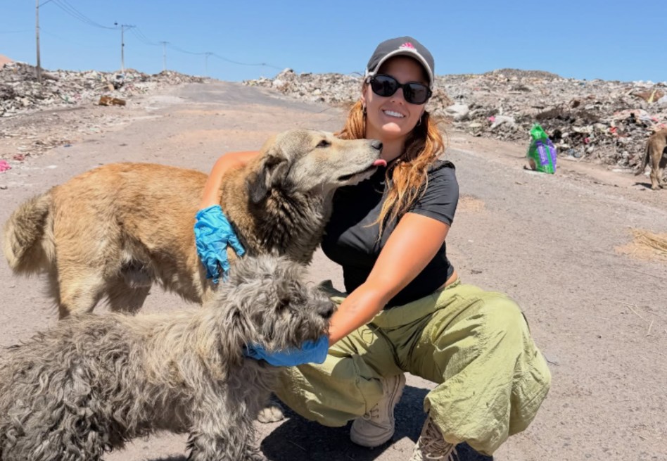 Joven quiso rescatar a un cachorro y descubrió más de 100 perros abandonados en el desierto