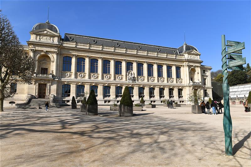 Una mujer fue detenida por robo de oro en el Museo de Historia Natural de París