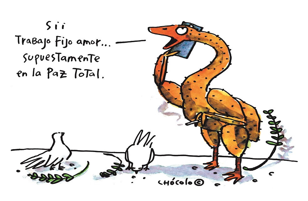 Chócolo