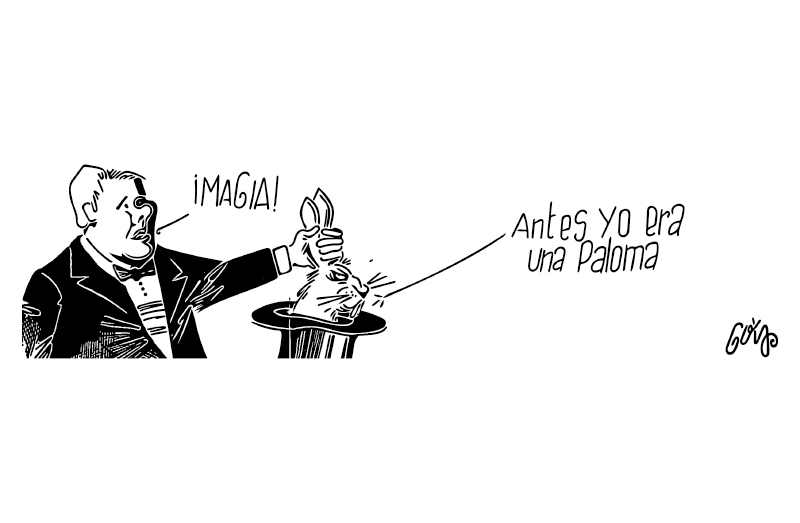 Conejo a la paz