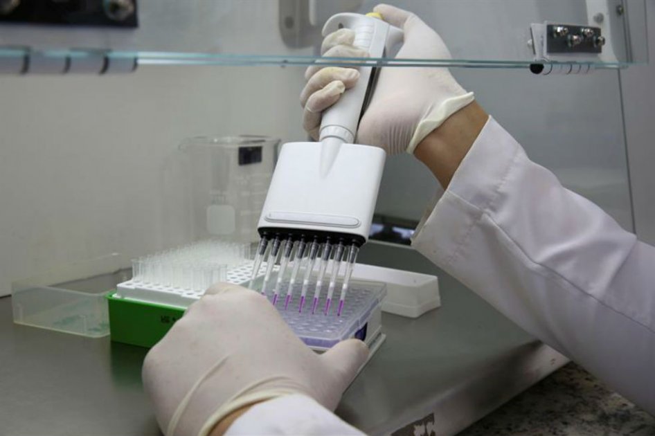 Científicos proponen infectar mosquitos con bacteria resistente al zika