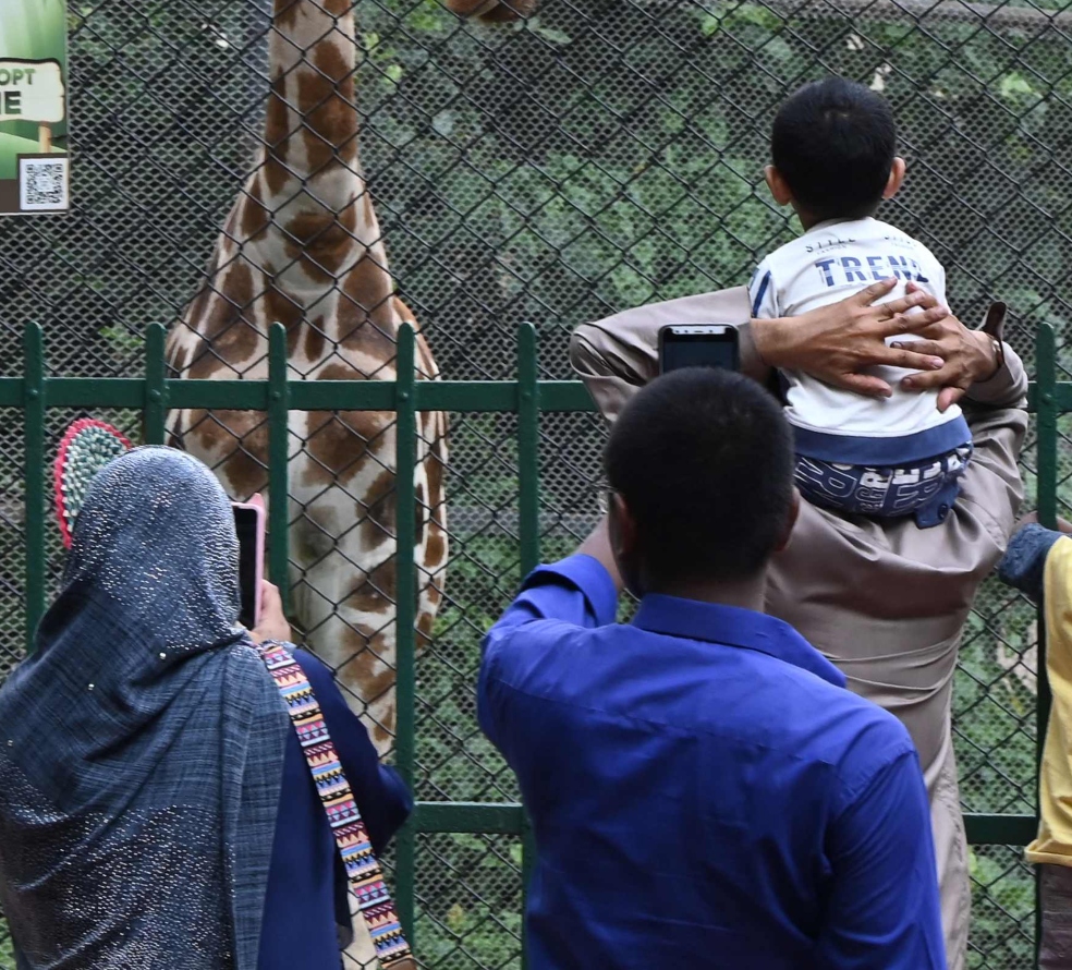 “¡Queremos nietos!”: padres demandan a su hijo por no tener descendencia