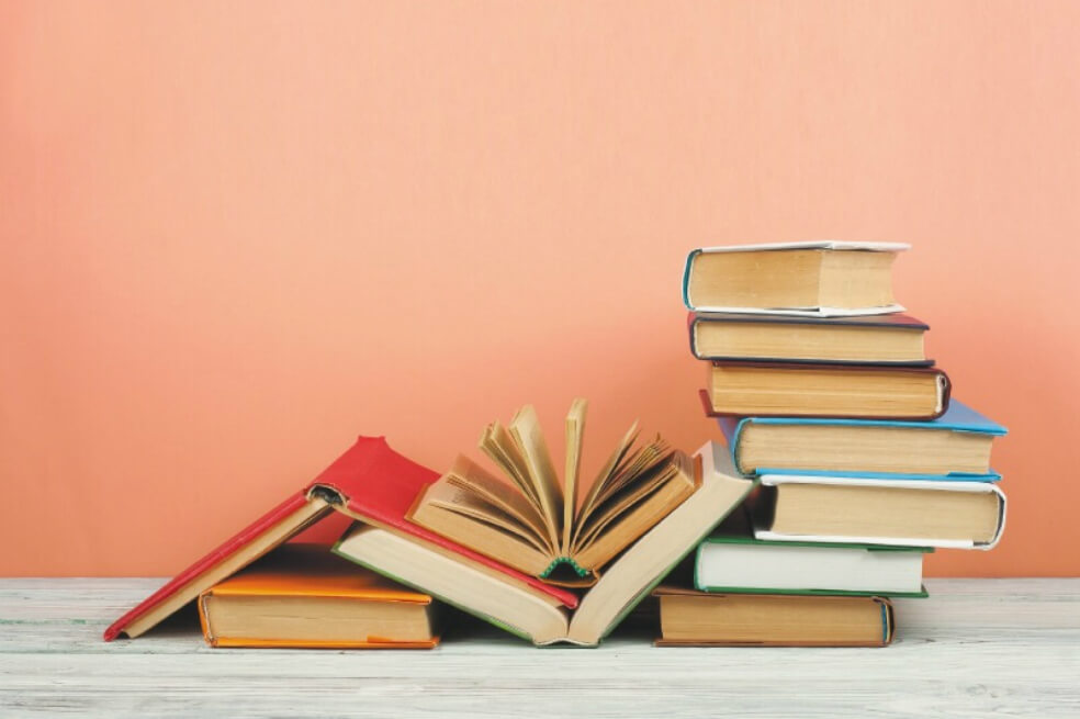 La literatura no puede ser concebida como un mero entretenimiento
