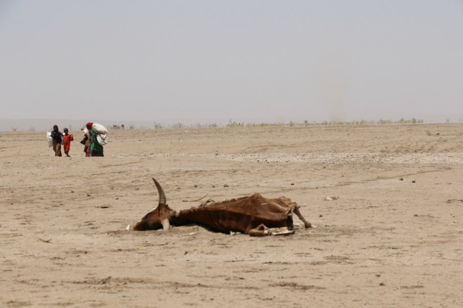 La herramienta tecnológica que puede revolucionar la adaptación al cambio climático