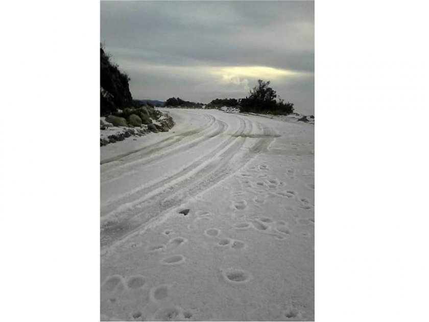 Increíble granizada vistió de blanco el Páramo de Santurbán en Santander