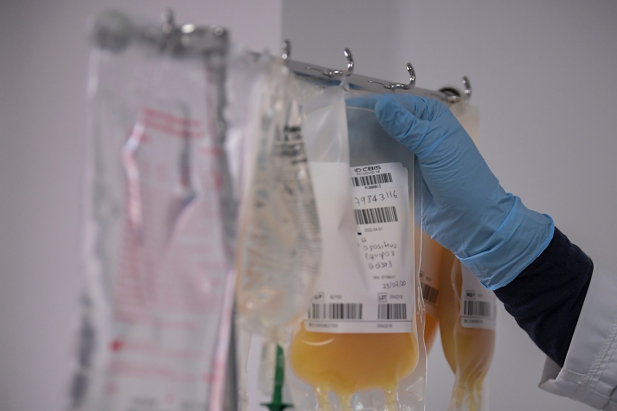 Opinión: Bogotá y su centro que procesa células madre para tratar el cáncer