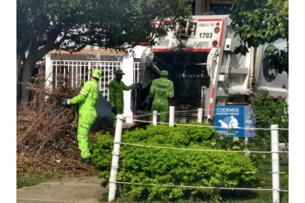 Poda de árboles en Cali se cobrará en la factura de servicios públicos