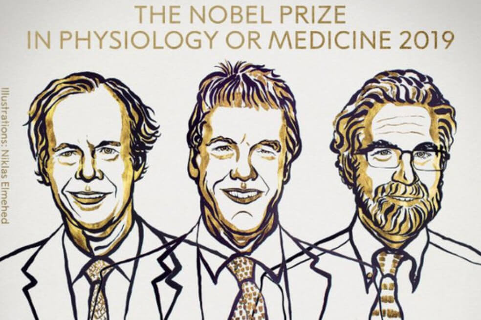 Nobel de Medicina por descubrir «cómo las células sienten y se adaptan al oxígeno disponible»