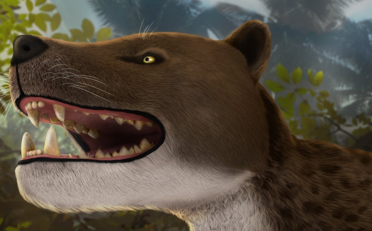 Descubren una nueva especie de mamífero que vivió hace 30 millones de años