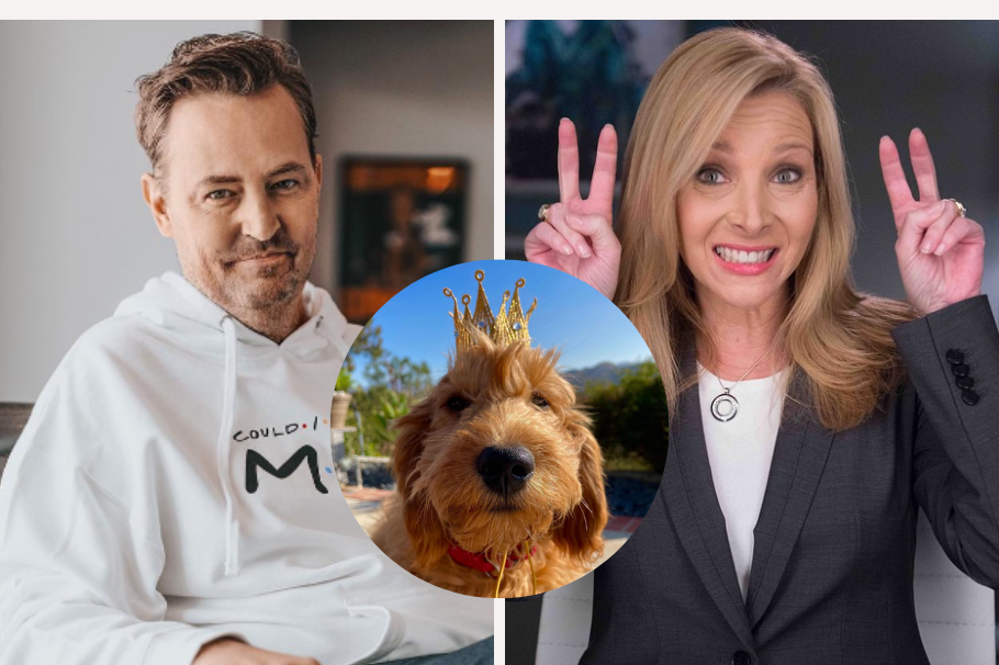Lisa Kudrow, Phoebe de ‘Friends’, adoptaría al perro de Matthew Perry
