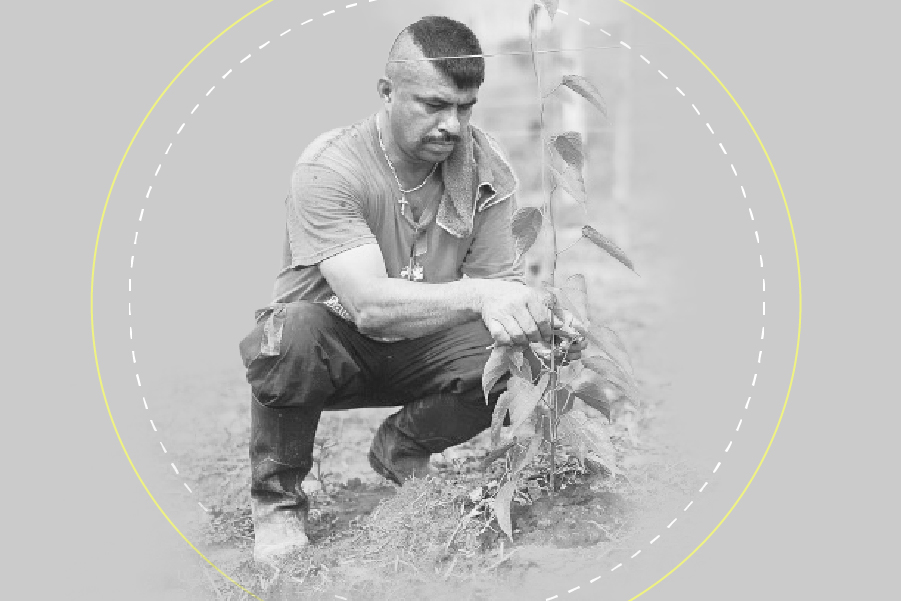 (En cifras) La reincorporación de los excombatientes de las Farc