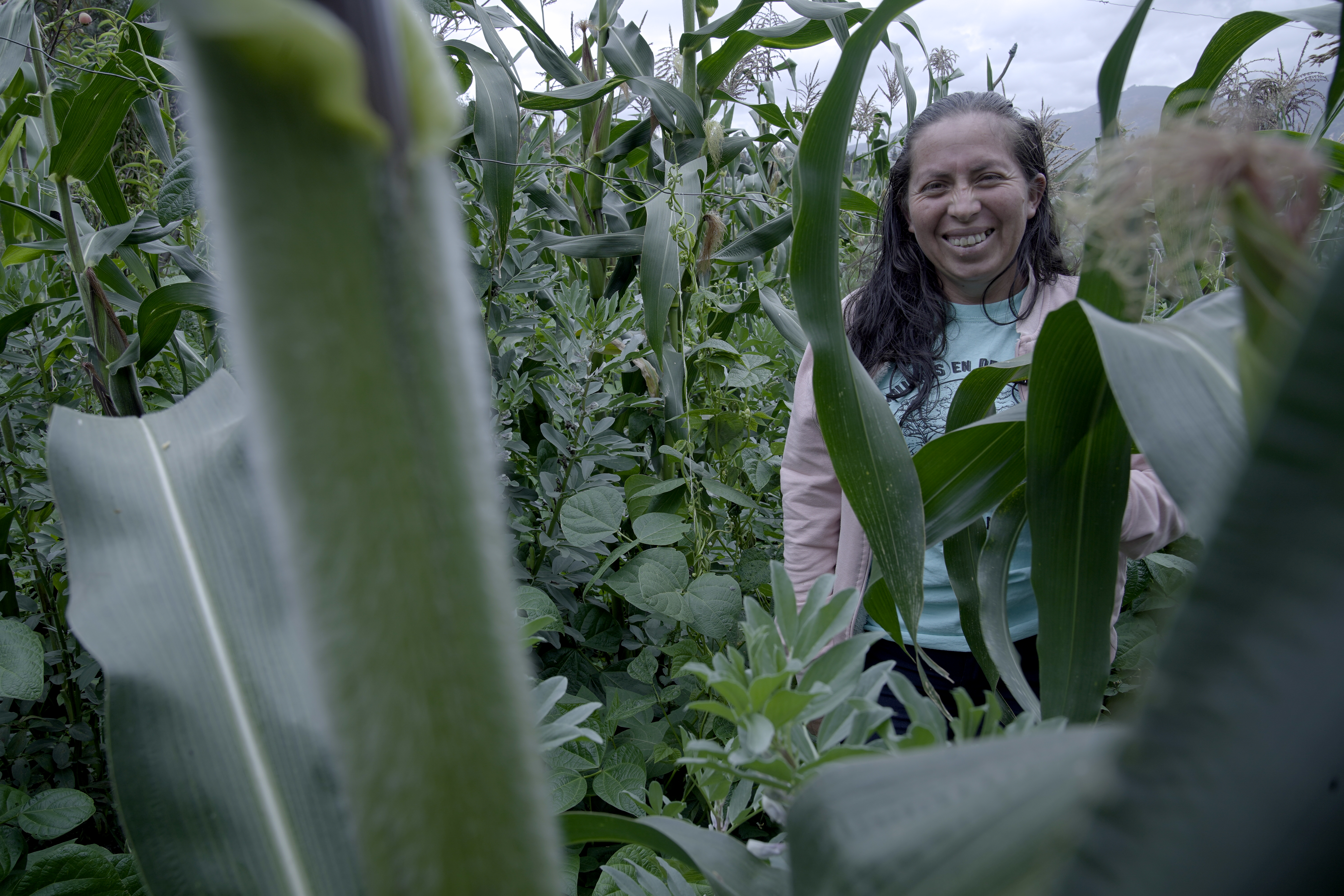 Edilma Chía es otra líder campesina que sigue el mismo trabajo de Pedro Abel Castañeda. Además, lidera procesos de emprendimiento con un grupo de mujeres de varias veredas de Boyacá.