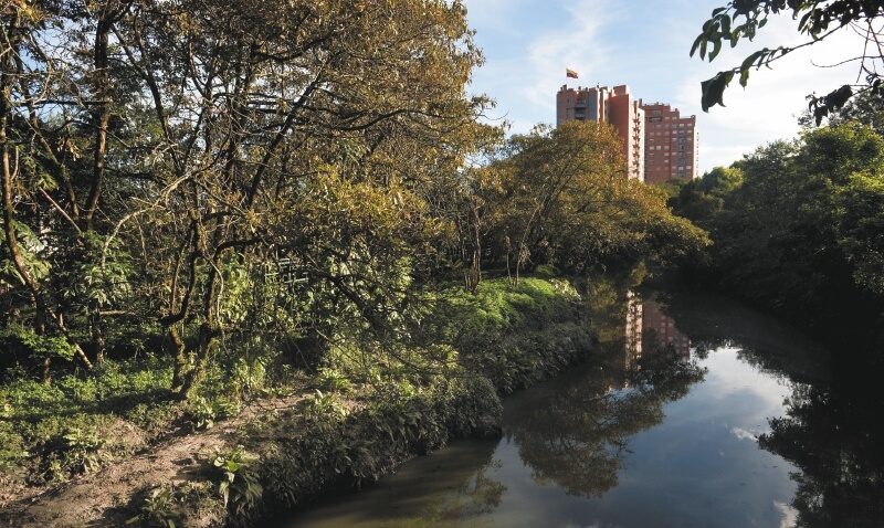 La obra de la discordia en el humedal Córdoba en Bogotá