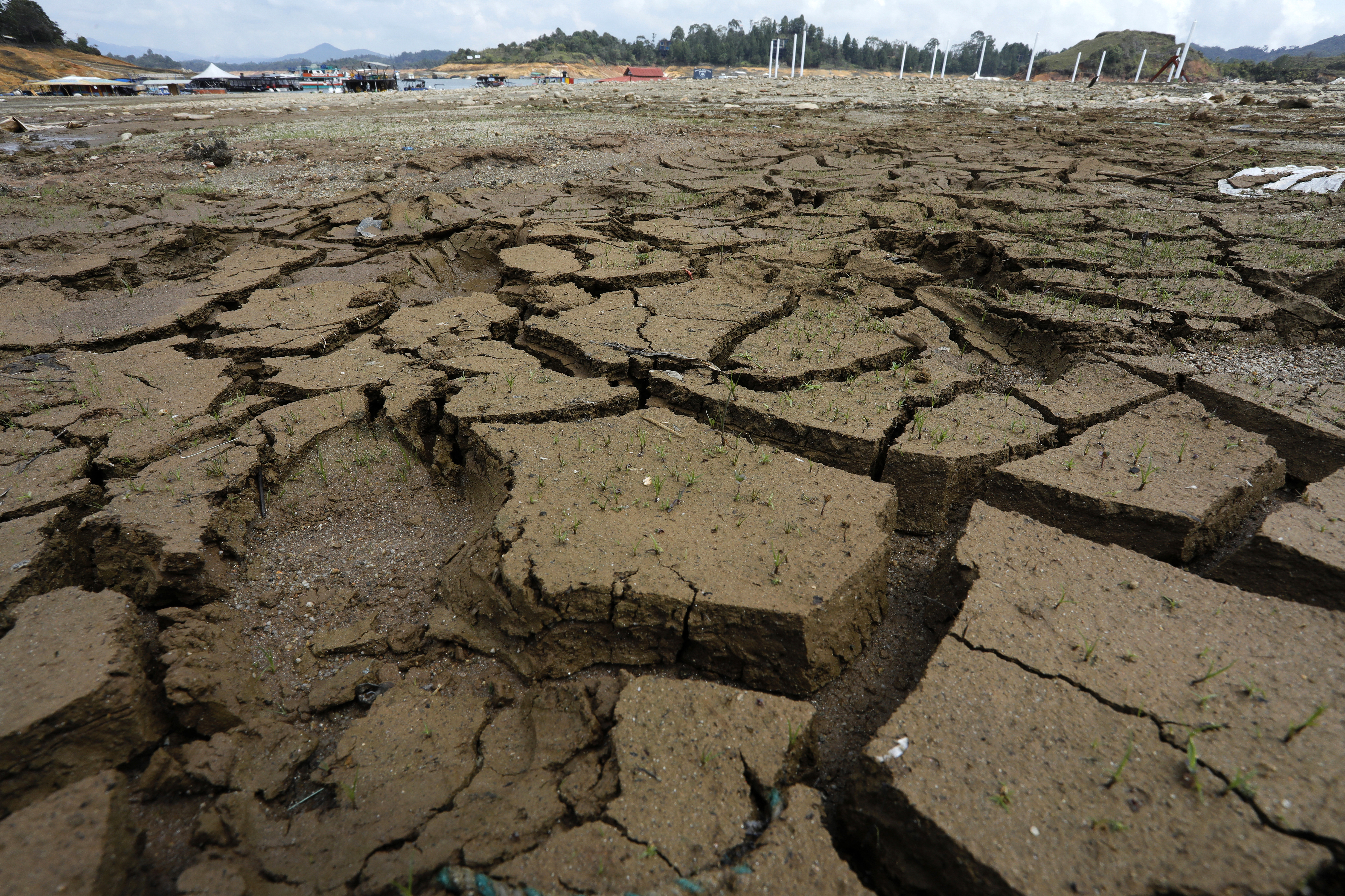 El Niño podría llegar en agosto con climas más extremos y temperaturas más altas