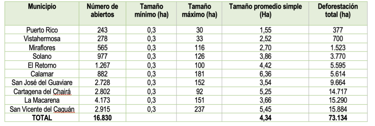 Deforestación amazonia