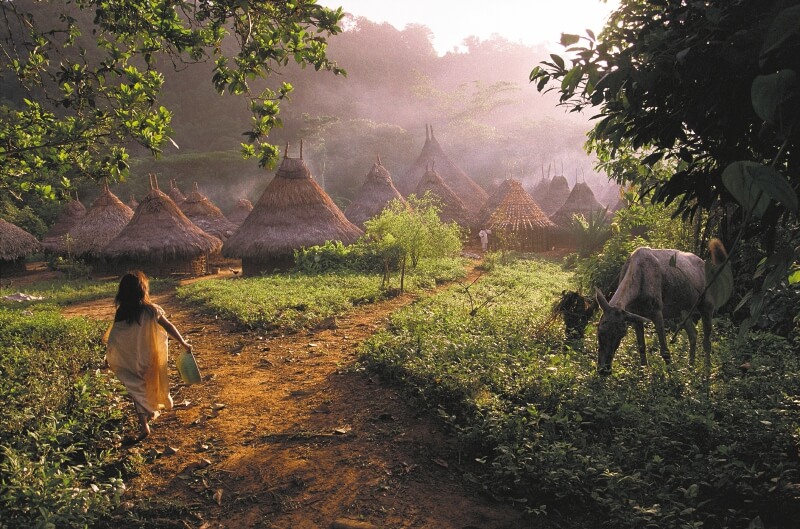 “Este ecosistema está a punto de desaparecer”: indígenas sobre la Sierra Nevada de Santa Marta