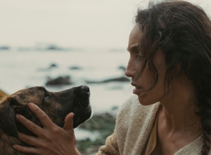 Yuri, la perrita rescatada que conquistó Cannes y ganó el Palm Dog 2026