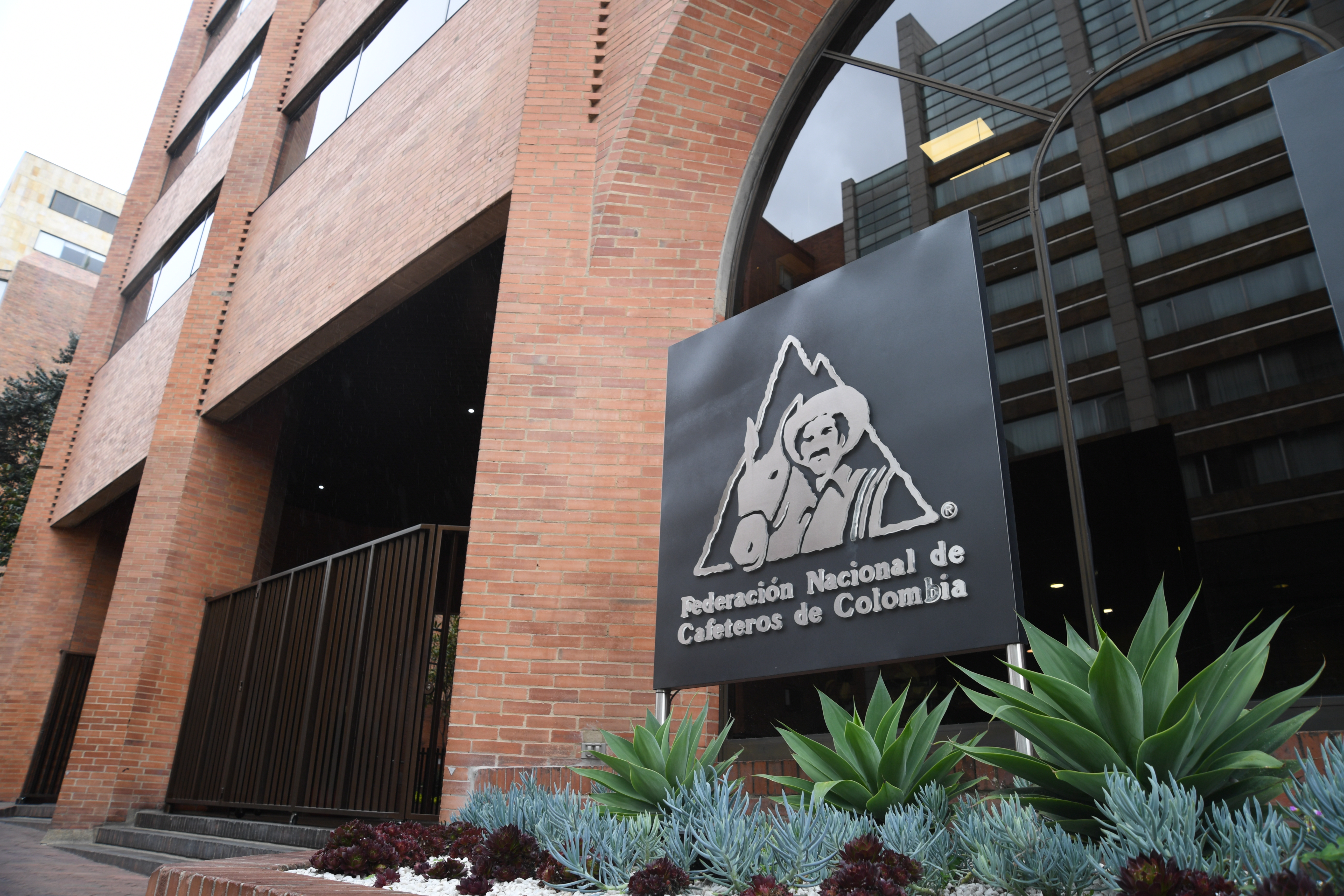La disyuntiva cafetera y el papel de los gremios