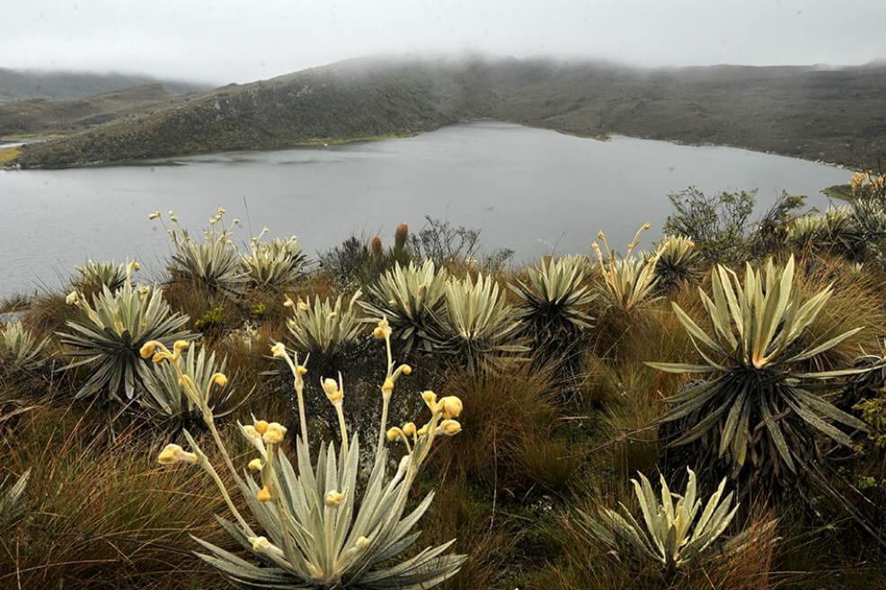 Latinoamérica distribuye su agua de forma desigual