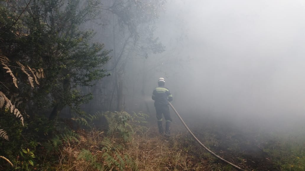 Bomberos de Cundinamarca controlaron incendio forestal en la vía Tabio-Subachoque