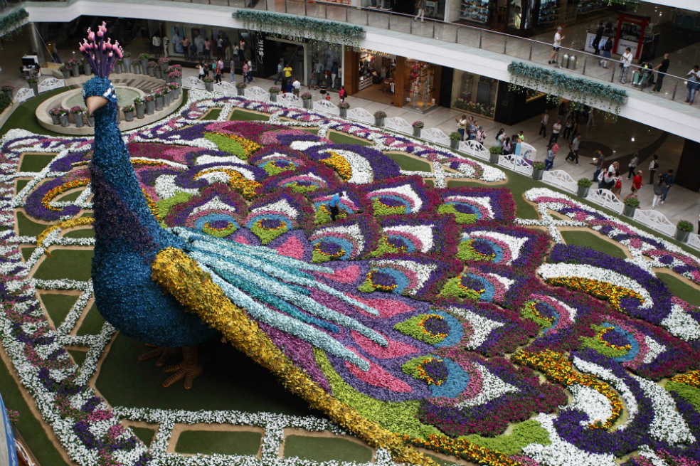 Pavo real de 12 metros de altura engalana una Medellín con 182.000 flores