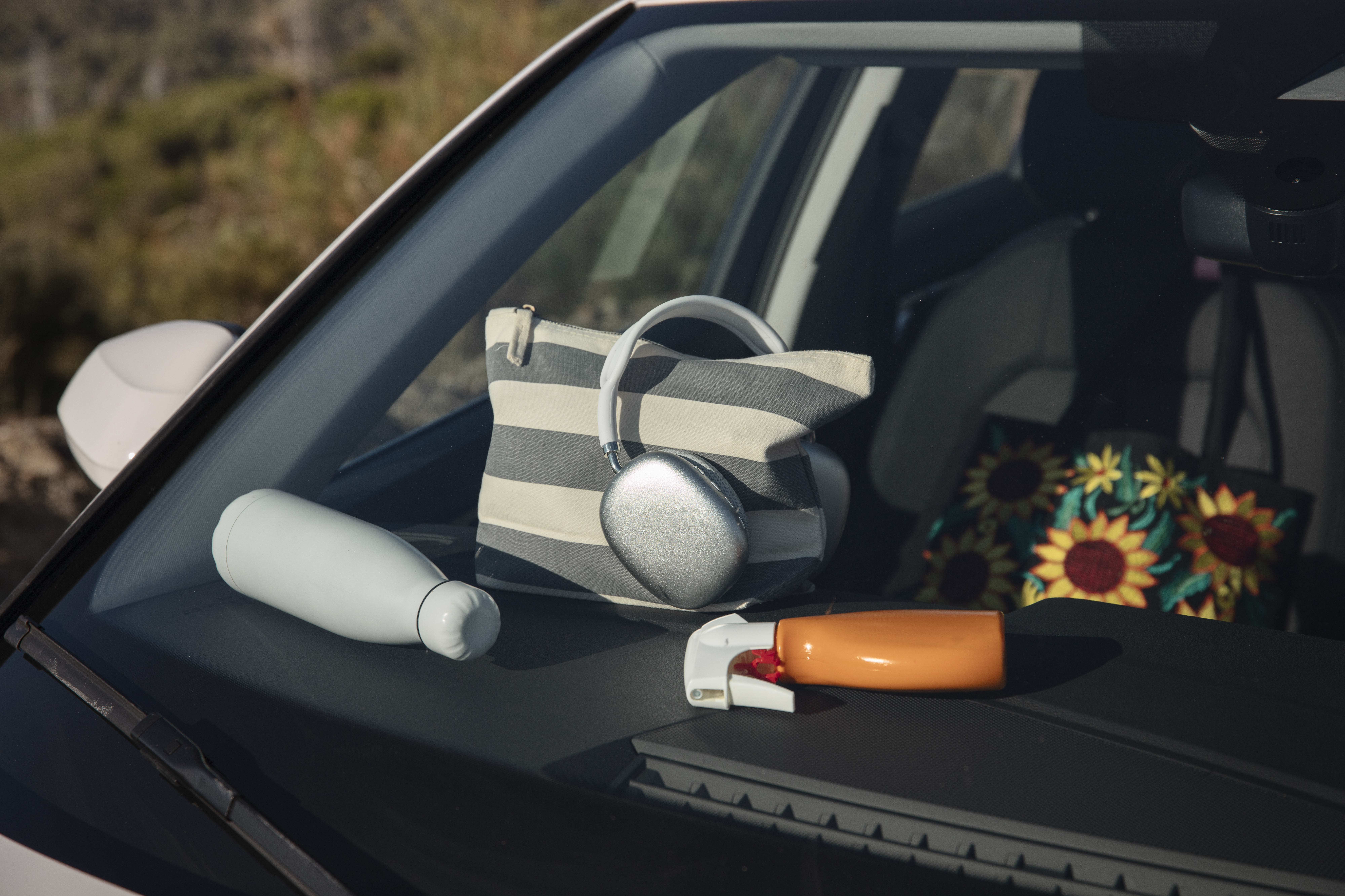 Cinco aromatizantes caseros para carro que puedes hacer ahorrando dinero