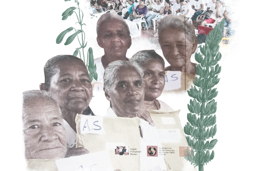 Durante los más de 25 años de lucha que lleva la Liga, 10 mujeres de la organización han muerto esperando justicia.