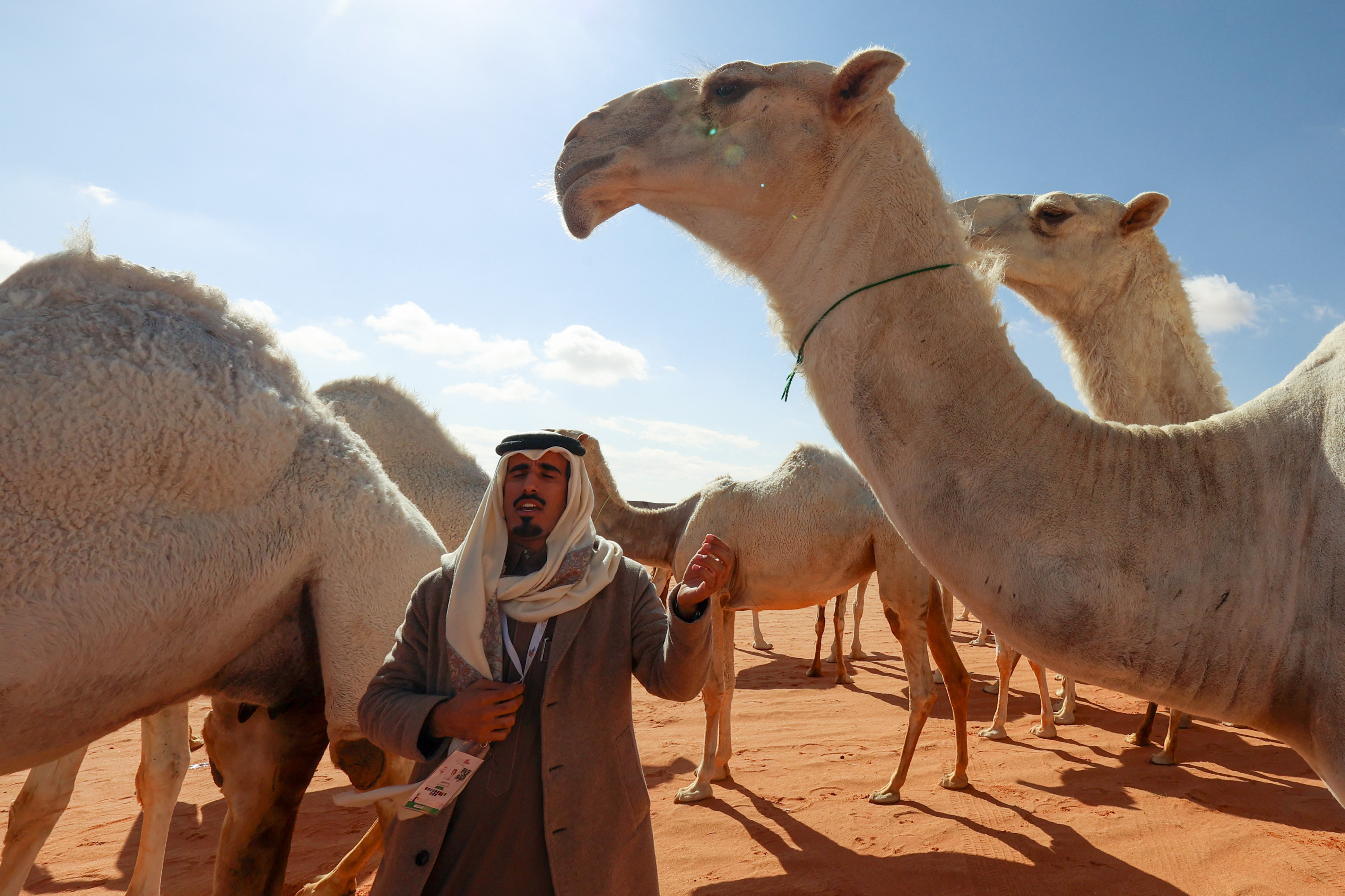 Saudi herder Mansour al-Qatula is pictured next to his animals during the annual King Abdulaziz Camel Festival in Rumah desert, northeast of the Saudi capital Riyadh, on January 10, 2023. - Qatula uses a mode of communication with camels, known as Alheda'a which was recently inscribed on UNESCO's list of intangible cultural heritage, highlighting the deep traditional connection between camels and inhabitants of the Arabian Peninsula. (Photo by Fayez Nureldine / AFP)