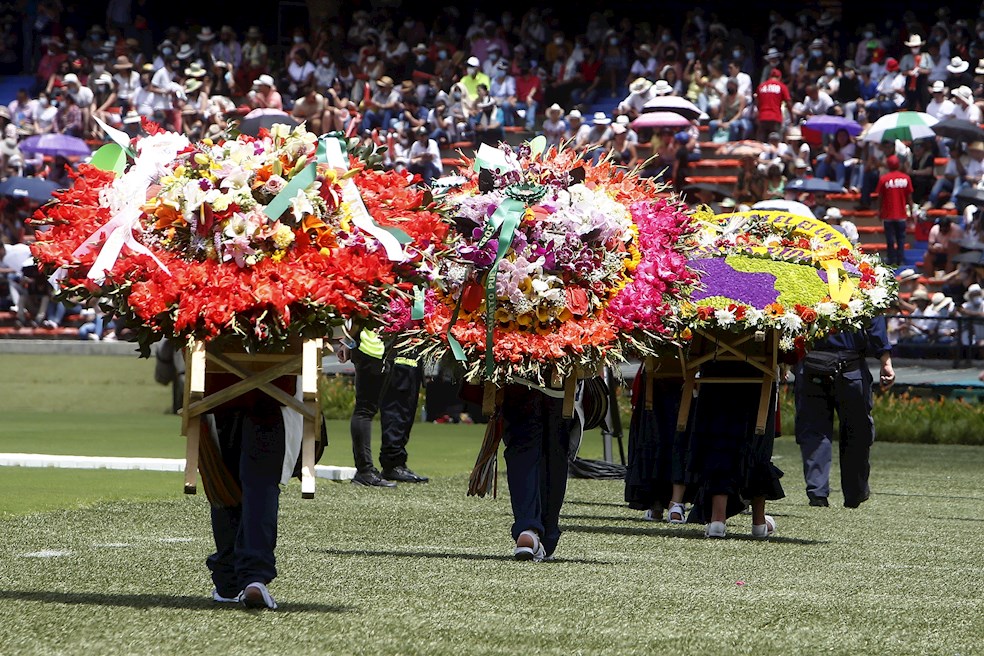 Cientos de silleteros participaron de la edición 64 de la Feria de las Flores, en el estadio Atanasio Girardot en Medellín (Colombia). Luego de 26 años, los silleteros regresaron a este escenario deportivo para desfilar ante 15.000 espectadores con sus arreglos florales, que no pudieron cargar por las calles de la ciudad este año para mantener los controles por la pandemia de la COVID-19.
