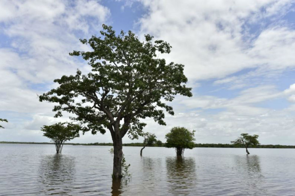 Río Bita, en Vichada, será declarado el sitio Ramsar número 11 del país