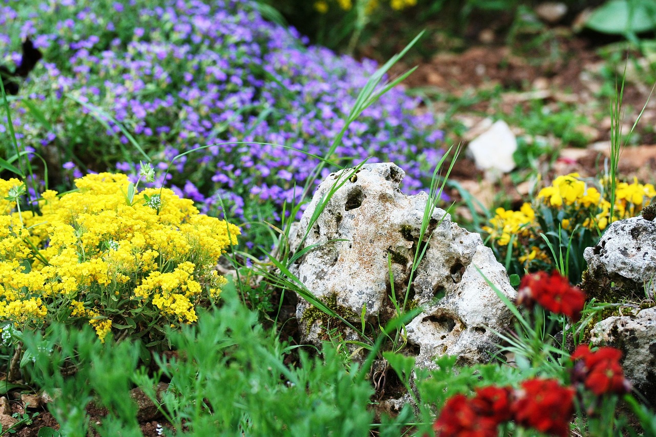 Rocalla: cómo crearla y qué plantas usar en su jardín