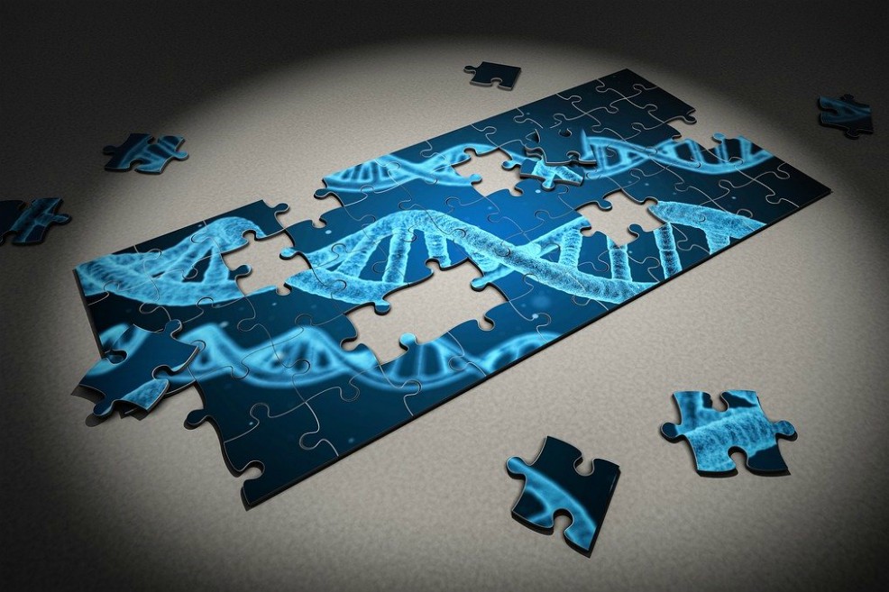 La ciencia “todavía no está lista” para modificación genética de embriones humanos