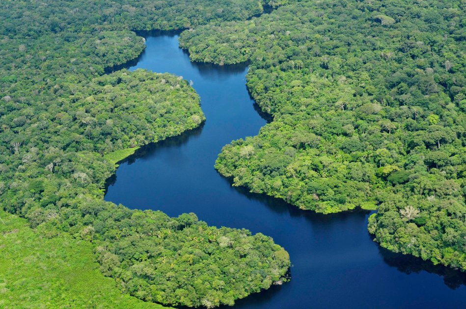 El poder de la ciencia ciudadana para estudiar la biodiversidad