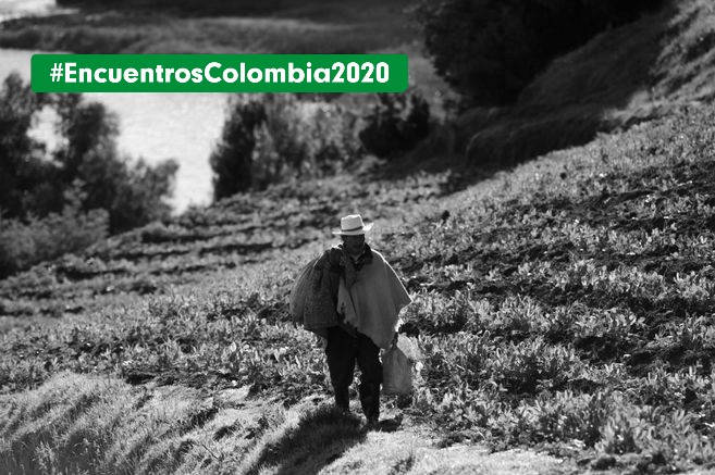 “En pandemia, el PDET debe reactivar el campo”: alcalde de Teorama