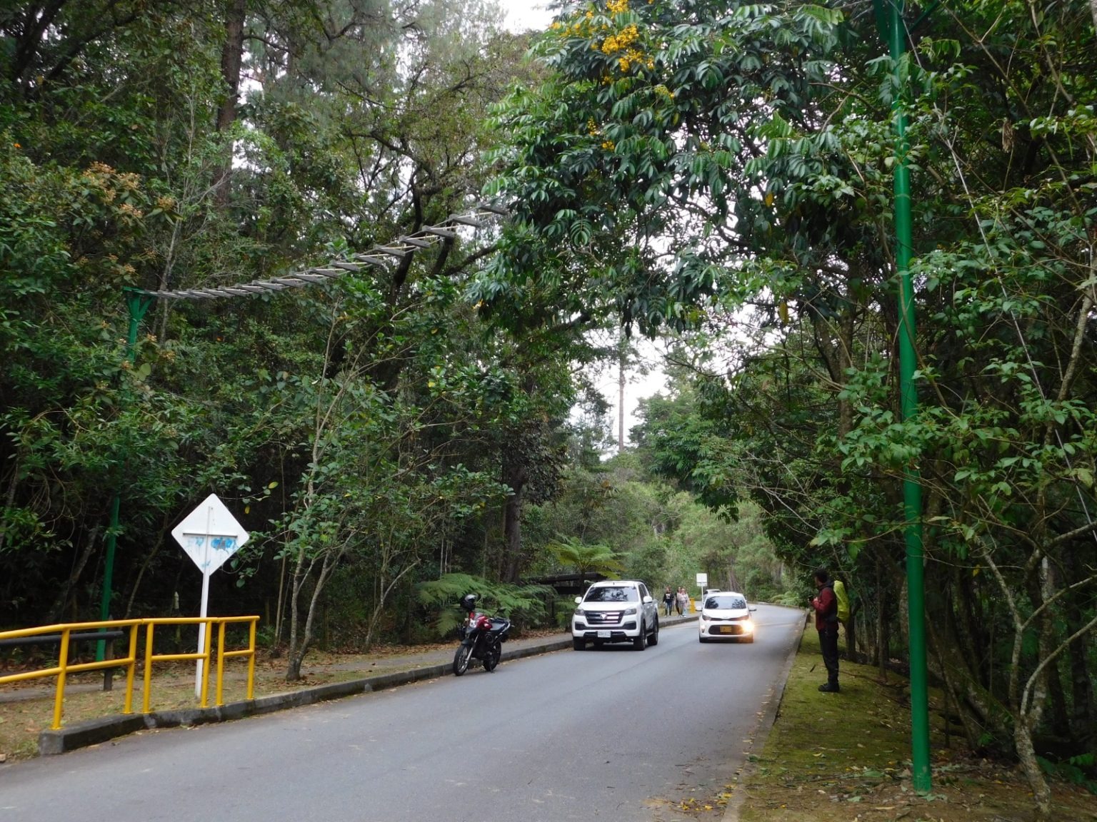 En Medellín: instalan nuevos pasos de fauna para proteger animales silvestres