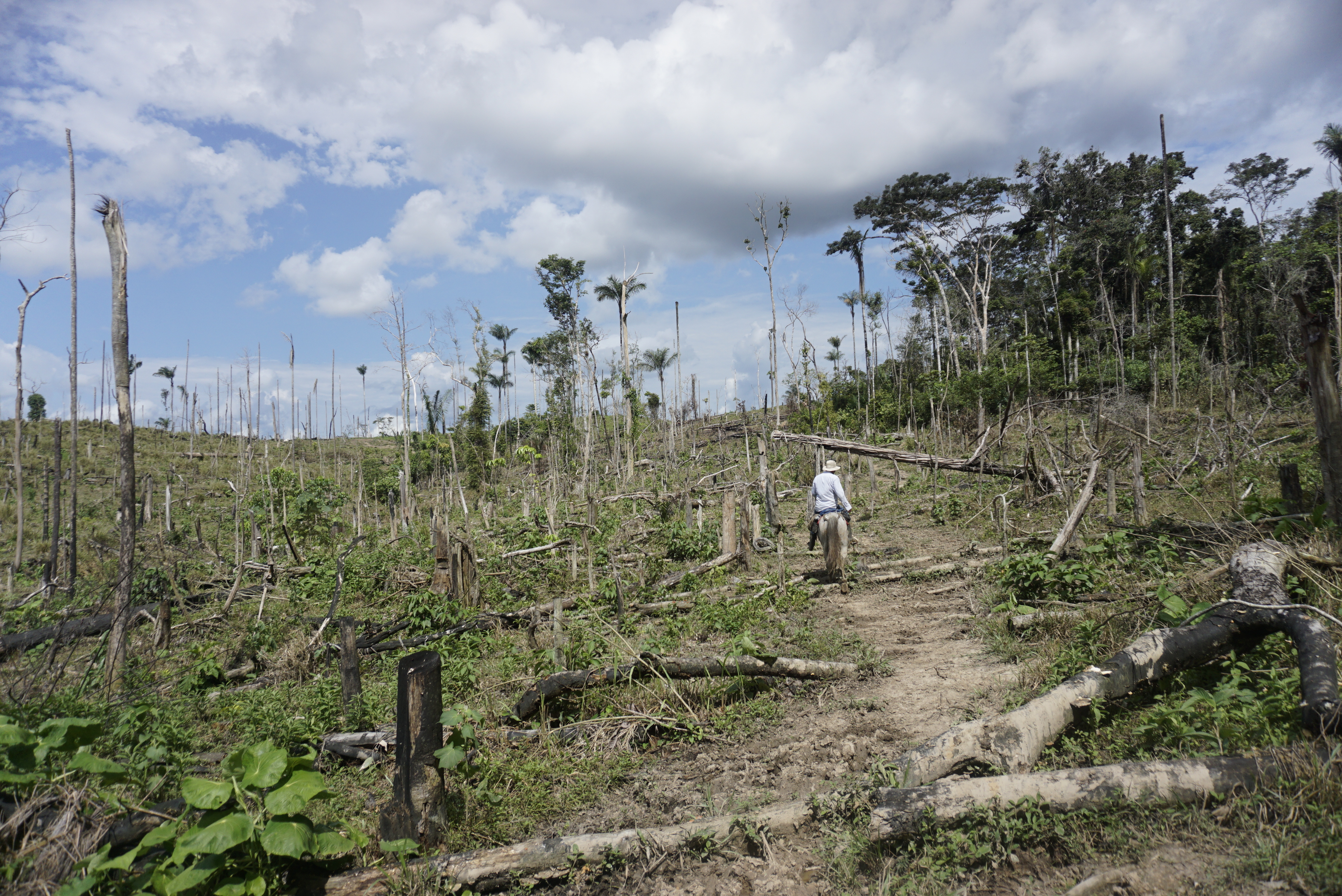 Deforestación en Chiribiquete