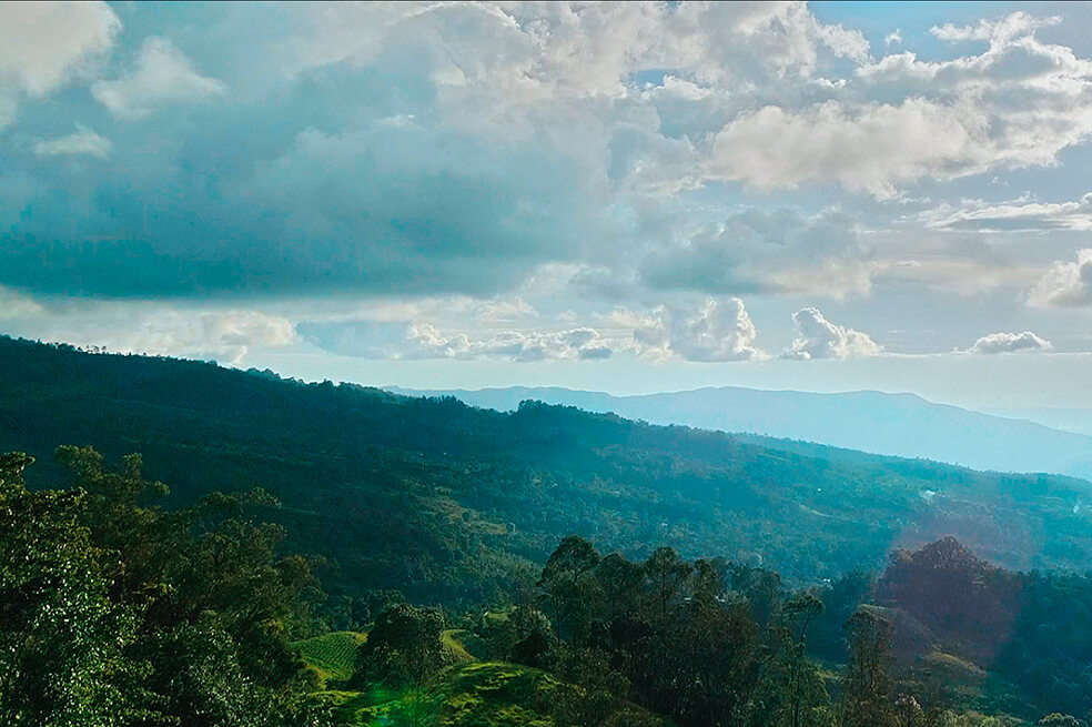 El llamado de más 70 líderes ambientales globales para proteger y restaurar la naturaleza