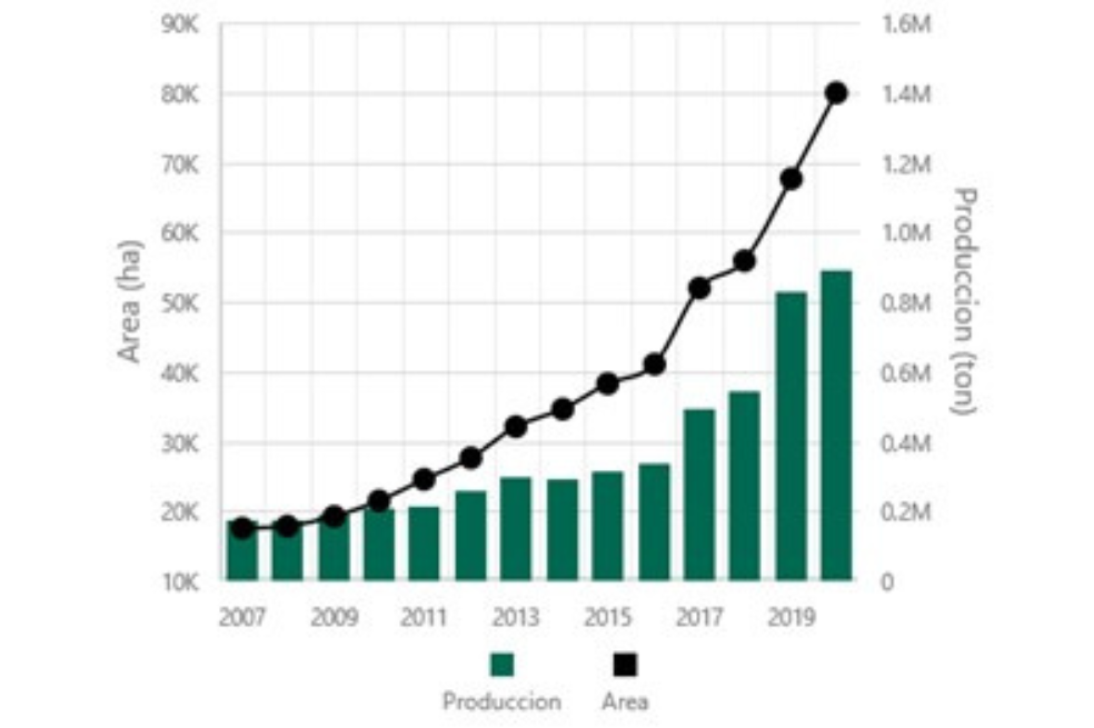 Área (hectáreas) y producción (toneladas) de aguacate desde el 2007 al 2020.