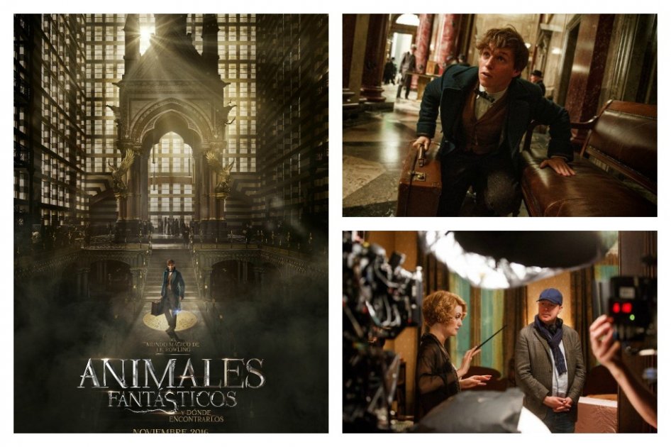 "Animales fantásticos y dónde encontrarlos" se estrena en noviembre de 2016.