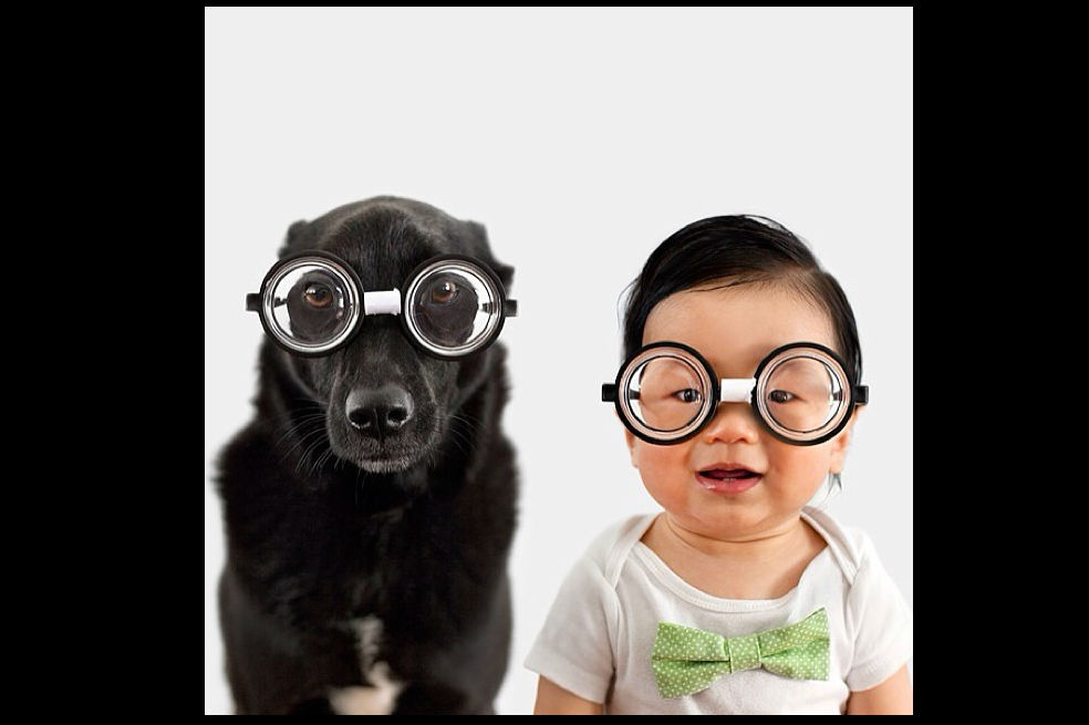 Este creativo y tierno proyecto le está dando la vuelta al mundo